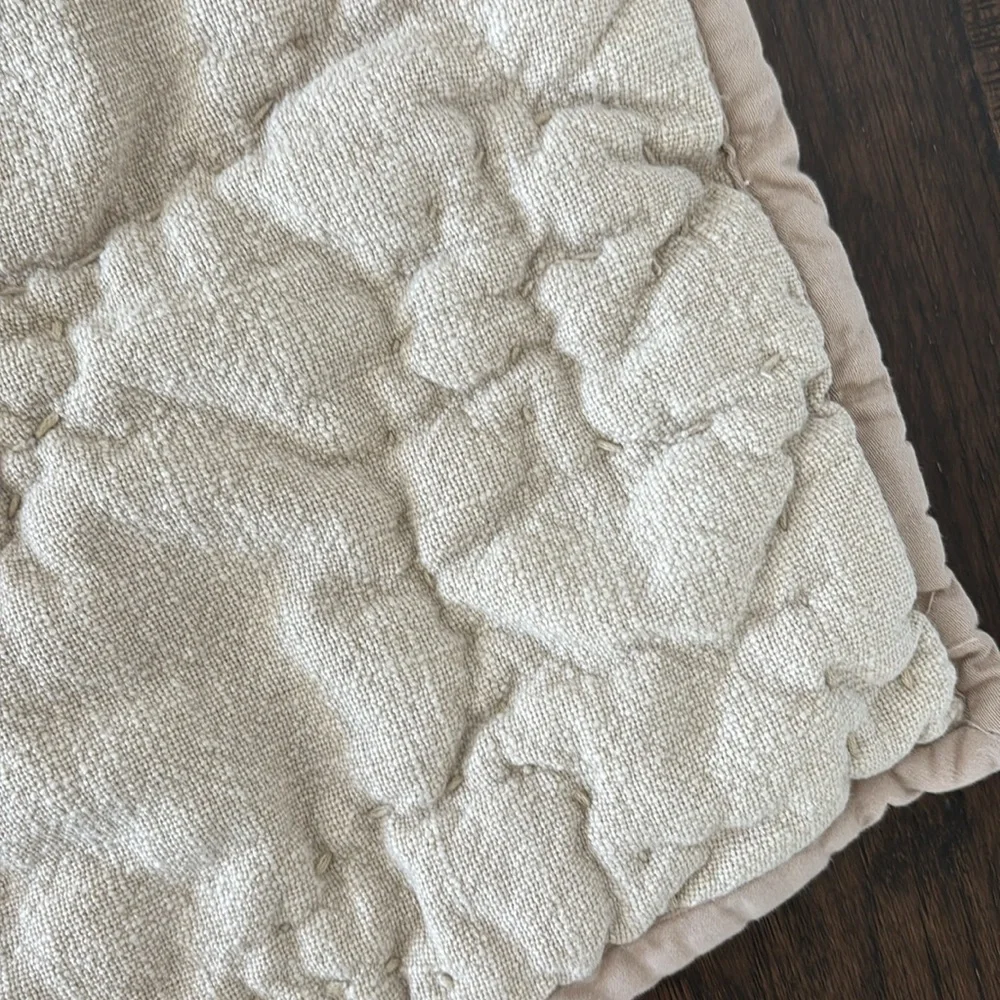 Pottery Barn Beige Textured Organic Thick Cotton Pickstitch King Pillow Sham (1)